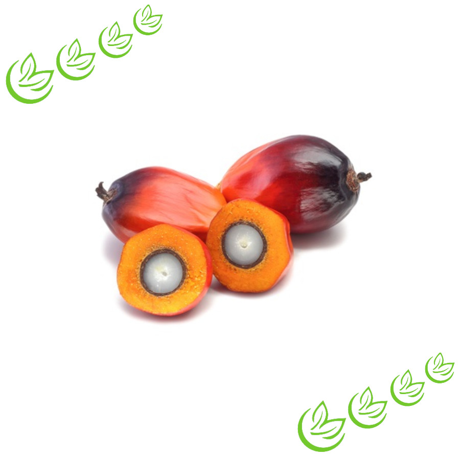 Palmkernöl raffiniert